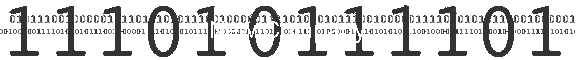 New Company